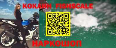 крисы Абакан