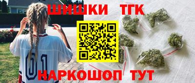 Альфа ПВП Можга