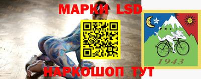 крисы Абакан