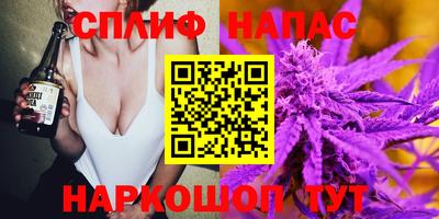 крисы Абакан