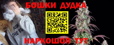 Альфа ПВП Можга
