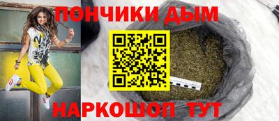 крисы Абакан