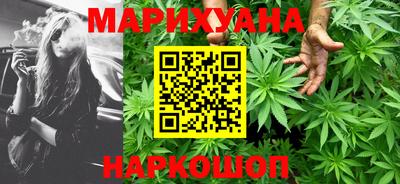 крисы Абакан