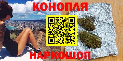 крисы Абакан
