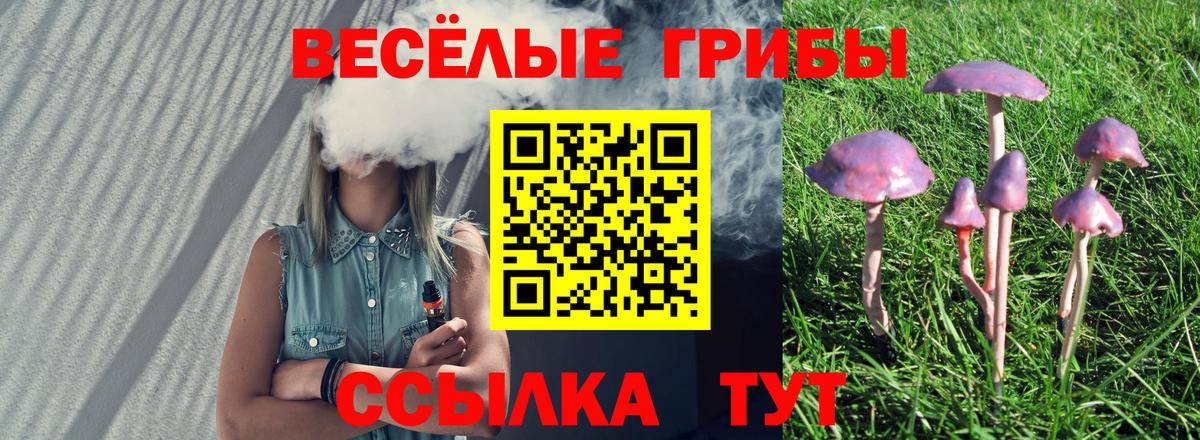 Галлюциногенные грибы Magic Shrooms Приморско-Ахтарск