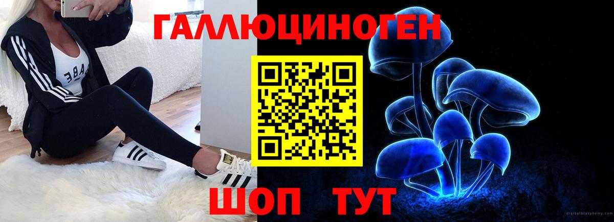 Галлюциногенные грибы MAGIC MUSHROOMS  Вход с VPN  Псилоцибиновые грибы Psilocybe  Приморско-Ахтарск 